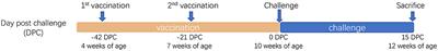 Efficacy of the Synergy Between Live-Attenuated and Inactivated PRRSV Vaccines Against a NADC30-Like Strain of Porcine Reproductive and Respiratory Syndrome Virus in 4-Week Piglets